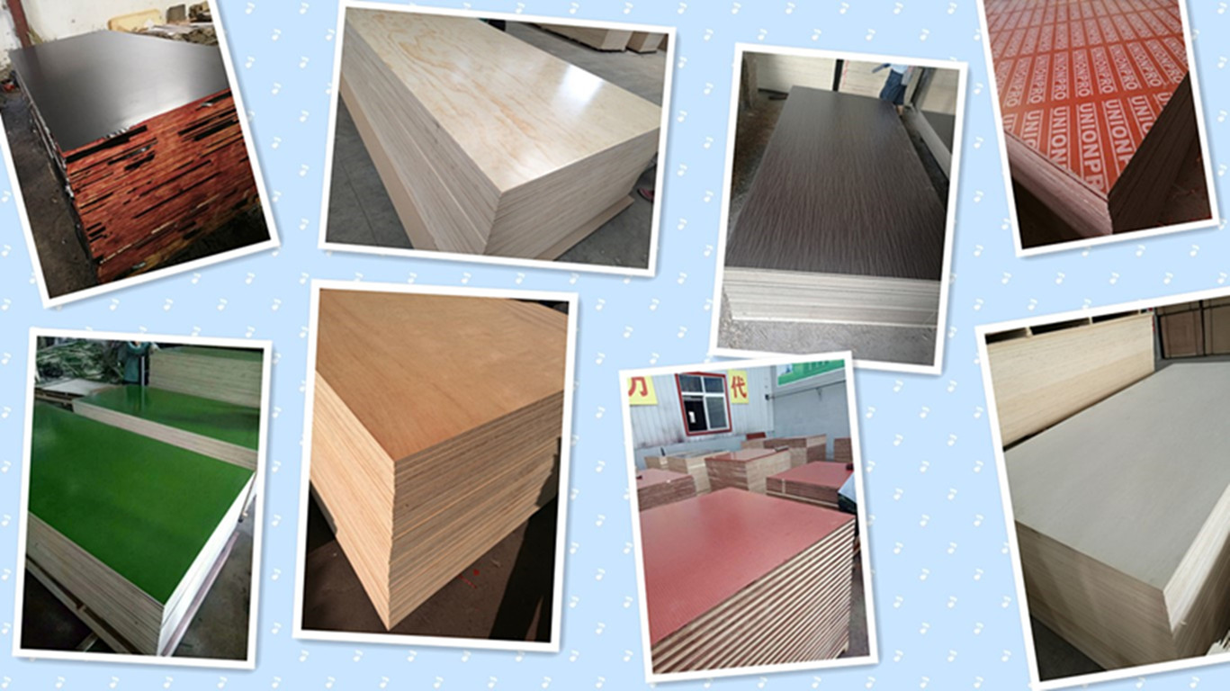 Plywood products in warehouse